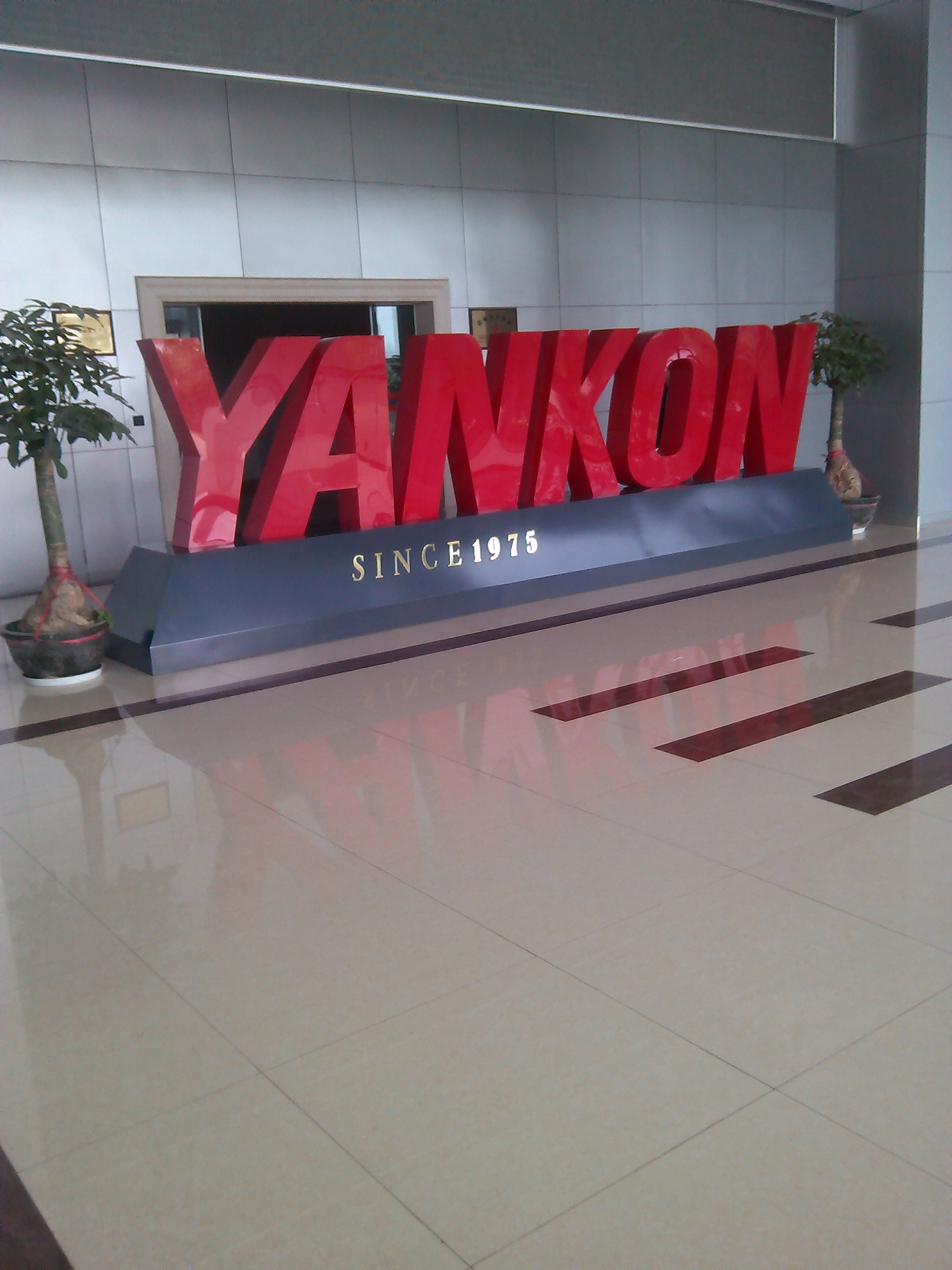 YANKONꖹ+a(chn)